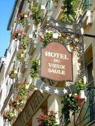 Hôtel du Vieux Saule, Hôtel à Paris