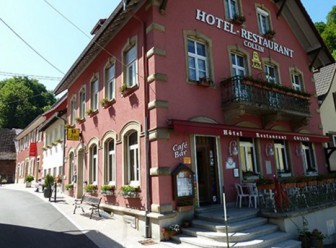 Hôtel Restaurant Collin, Hôtel dans le Haut-Rhin