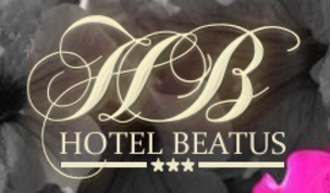 Hôtel Béatus, Hôtel dans le Nord